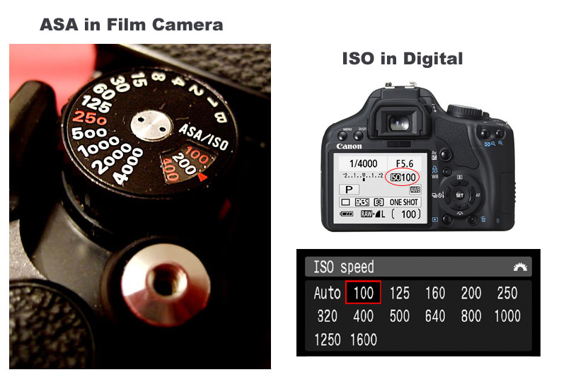 Iso8601. ISO В фотоаппарате. Светочувствительность фотоаппарата. Что такое ИСО В фотоаппарате. Чувствительность ISO фотоаппарата что это.
